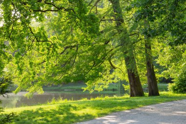 Güneşin altında güzel şehir yaz parkı