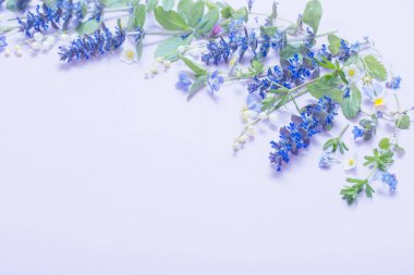 Mavi arka planda güzel yaz çiçekleri