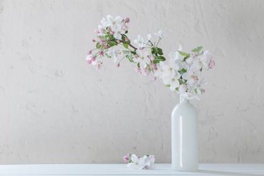 Beyaz arkaplanda vazoda bahar çiçekleri