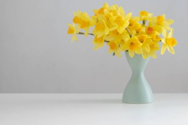 Beyaz arkaplanda yeşil vazoda sarı bahar çiçekleri