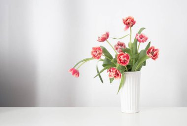 Beyaz iç kısımda vazodaki güzel laleler.