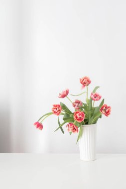 Beyaz iç kısımda vazodaki güzel laleler.