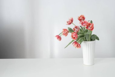 Beyaz iç kısımda vazodaki güzel laleler.