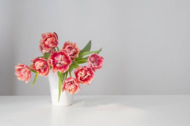 Beyaz iç kısımda vazodaki güzel laleler.