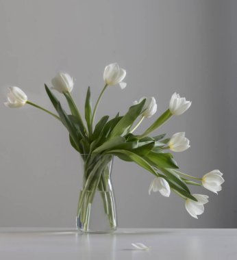 Beyaz vazodaki beyaz laleler.