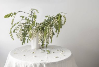 Beyaz iç kısımda, çiçek açan akasya ile...