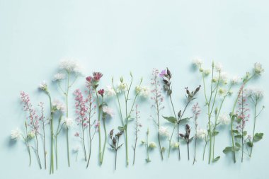 Kağıt arkaplanda güzel çiçekler