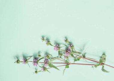 Kağıt arkaplanda güzel çiçekler