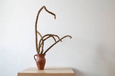 Kurumuş bitkilerle dolu tahta bir masada hayat.