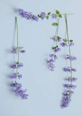 Kağıt arkaplanda güzel çiçekler