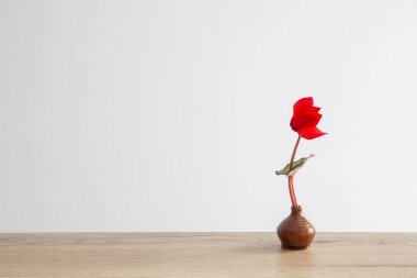 kırmızı siklamen kahverengi seramik küçük vazo ahşap masa üzerinde