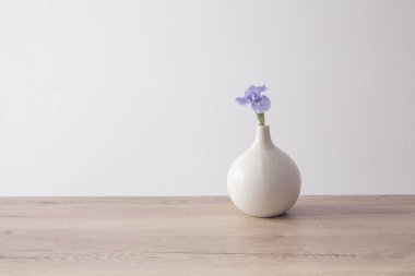 Beyaz iç kısımda, seramik modern vazoda mavi iris.