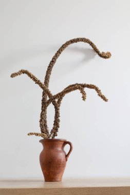 Kurumuş bitkilerle dolu tahta bir masada hayat.