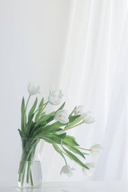 Beyaz vazodaki beyaz laleler.