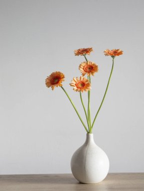 Arkadaki beyaz duvarda vazodaki turuncu gerber.