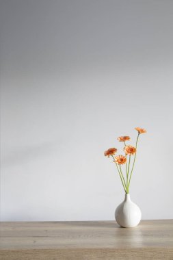 Arkadaki beyaz duvarda vazodaki turuncu gerber.