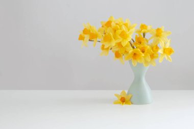 Beyaz arkaplanda yeşil vazoda sarı bahar çiçekleri