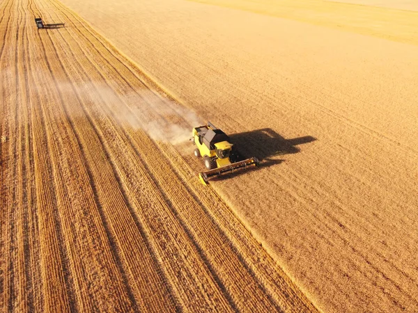 小麦畑で収穫機とトレーラーの作業を組み合わせます 空中ビュー 農業のテーマ ストックフォト