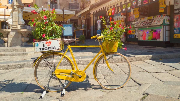 トロピー町の通りの装飾 舗装上の活気のある自転車の花のポット ストック写真