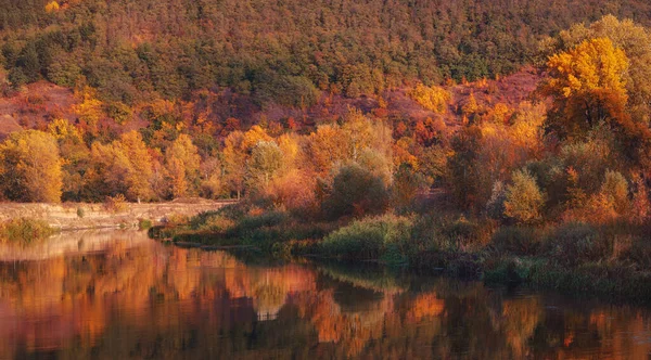 Hösten Flod Panorama Med Träd Reflektioner Vatten Naturskön Utsikt Över — Stockfoto