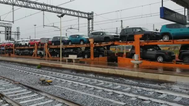 長い貨物列車と新しい生産車の輸送 雨の多い鉄道駅からの眺め 南イタリアのラメツィア テルメ — ストック動画