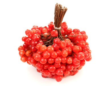 Viburnum böğürtlenleri beyaz arka planda. Ekşi ve bol vitaminli sağlıklı içecekler için..