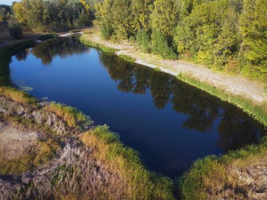 Göl ve yemyeşil orman havadan bakıldığında.