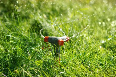 Çimen fıskiyeleri su damlacıklarıyla dönüyor. Bahçeyi sulamak ve dinlenmek için. Sulama fıskiyesi çimenlerin üzerine su püskürtür..