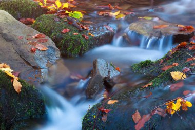 Sonbaharda dağ suyu deresi. Uzun pozlama efektiyle yakın çekim.