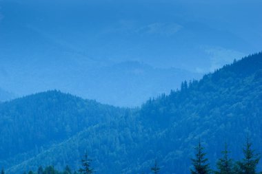 Akşamları dağların sisi...