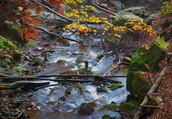 Горный Лесной Ручей Хаотичными Сломанными Ветвями Камни Сложенные Центре Ручья — стоковое фото