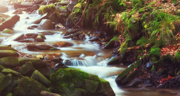 Водный Поток Горных Лесов Камнях Зеленым Мхом Осенью Селективный Фокус — стоковое фото