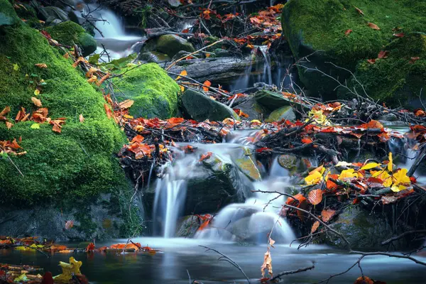 Horský Potok Kamenech Podzimní Příroda Horském Lese Řeka Kamením Zeleným — Stock fotografie
