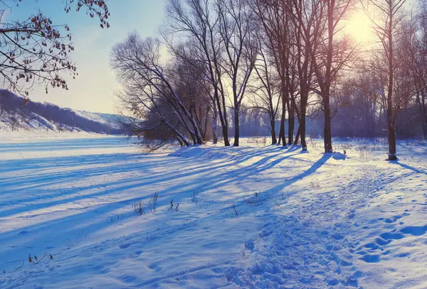 Winter Bevroren Rivieroever Met Zonlicht Landschappelijk Landschap Met Sneeuw — Stockfoto
