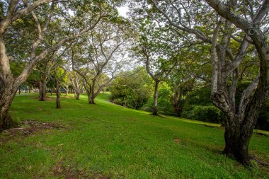 Bicentennial Park, Darwin şehir merkezinde yer alan büyük bir parktır..