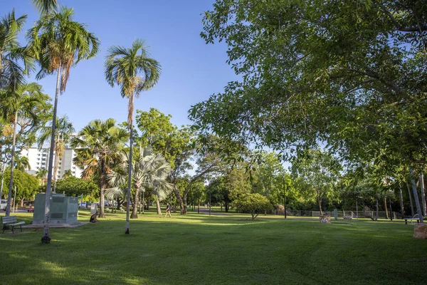 Bicentennial Park Také Nazývaný Esplanade Velký Park Nachází Centru Darwin — Stock fotografie