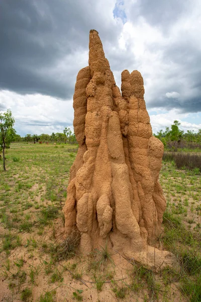 Litchfield Cathedral Termite Nasutitermes Triodiae Mounds Byggd Öppen Savann Skog — Stockfoto