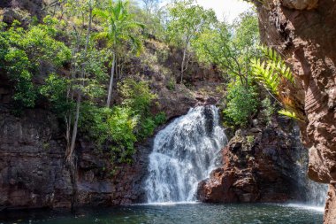 Litchfield Ulusal Parkı 'ndaki Florence Falls iki şelaleden ve Avustralya' nın kuzeyindeki Florence Creek 'te 30 metre çapında dairesel bir yüzme havuzundan oluşur.
