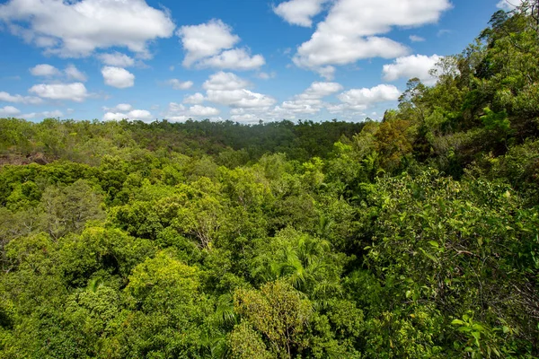 閉鎖林とも呼ばれるモンスーン森林は 多雨と干ばつが交互に続く地域で発達する熱帯地域のオープンまたは部分的に落葉樹林です — ストック写真