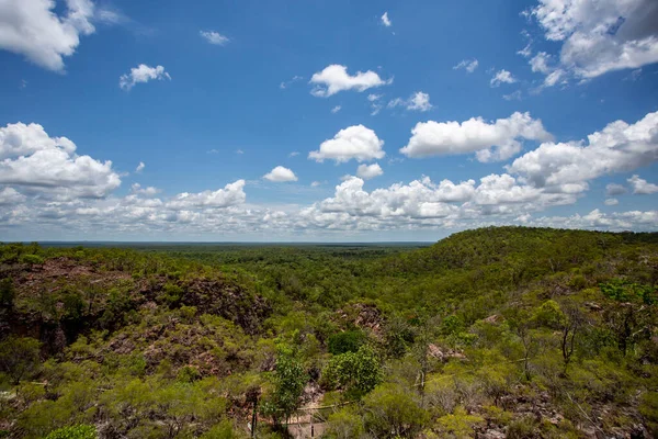 Muson Ormanları Aynı Zamanda Açık Kısmen Yaprak Döken Tropikal Bölgeler — Stok fotoğraf