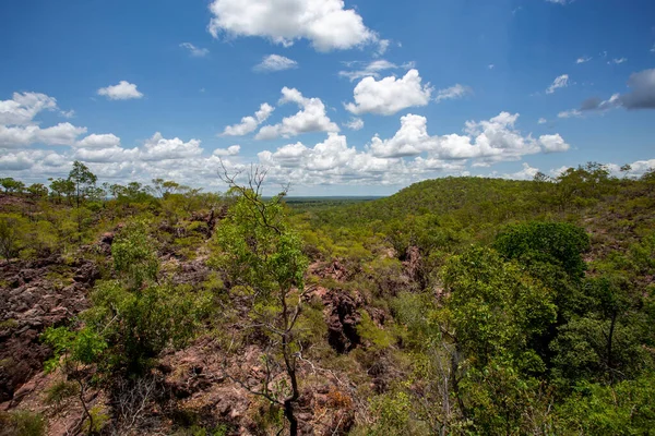 Muson Ormanları Aynı Zamanda Açık Kısmen Yaprak Döken Tropikal Bölgeler — Stok fotoğraf