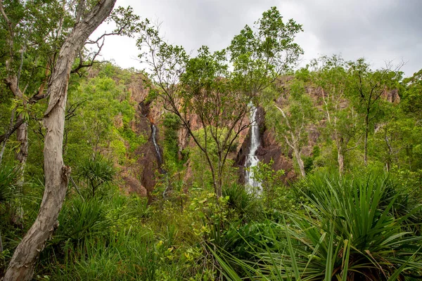 Wangi Falls Segmenterad Vattenfall Pool Wangi Creek Som Ligger Litchfield — Stockfoto