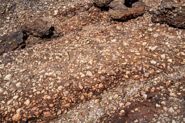 岩や堆積した砂岩は 河川や洪水によって堆積し コングロマリット化している — ストック写真