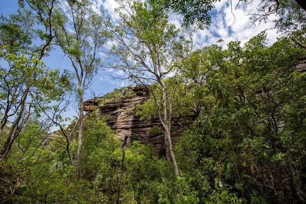 Πανύψηλες Κορυφές Του Βράχου Burrungkui Nourlangie Ένας Απομακρυσμένος Σχηματισμός Του — Φωτογραφία Αρχείου