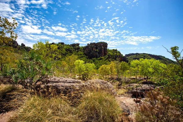 从Kakadu国家公园的Gunwarddehawarde观景台看Arhnem Land Escarpment外围的Burrungkui Nourlangie 高耸的悬崖顶上的全景 — 图库照片