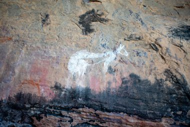 Nourlangie Rock Site, Kakadu, Kuzey Bölgesi, Avustralya 'daki Anbangbang rock sanat sahasında beyaza boyanmış bir kanguru.