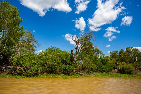澳大利亚北部卡卡杜的南鳄鱼河河岸季风森林景观 — 图库照片
