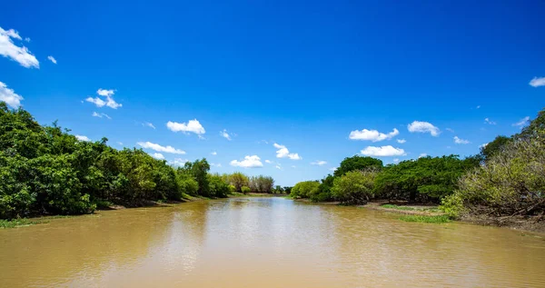 Vista Del Bosque Monzónico Largo Las Orillas Del Río South — Foto de Stock