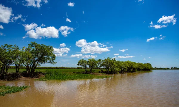 Vista Das Planícies Inundação Longo Das Margens Rio South Alligator — Fotografia de Stock