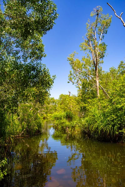 Вид Реку Ост Вниз Течению Водопада Природный Бассейн Районе Лелайна — стоковое фото